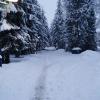 Whistler