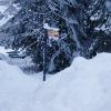 Whistler