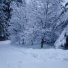 Whistler