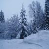 Whistler