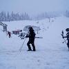 Whistler