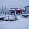 Whistler