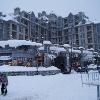 Whistler