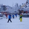 Whistler