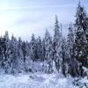 Mt.Seymour