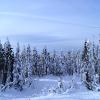 Mt.Seymour