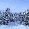 Mt.Seymour