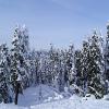 Mt.Seymour