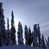 Mt.Seymour