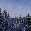Mt.Seymour